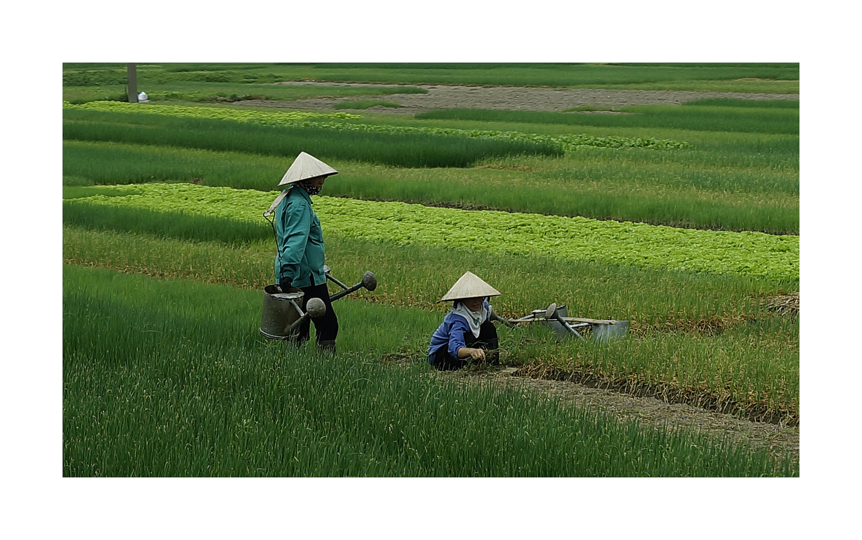 women working...