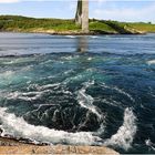 Womo in Norwegen (57) - Saltstraumen (2)