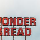 wonder