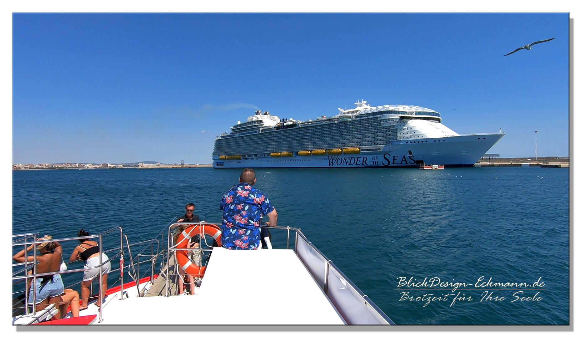 Wonder of the Seas - Das größte Passagierschiff des Planten vor der Linse.