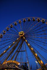 Wonder Wheel