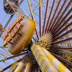 Wonder Wheel