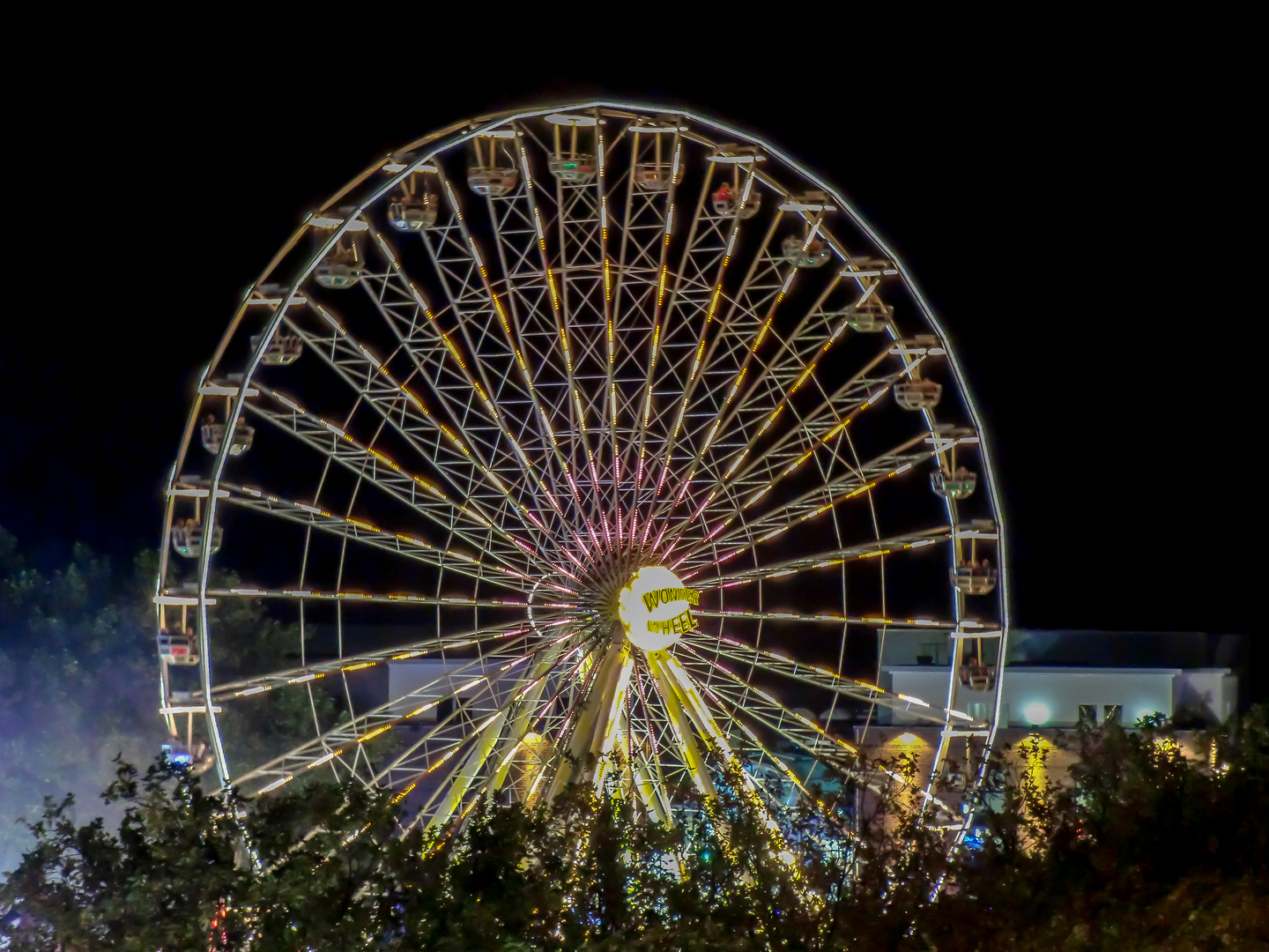 Wonder Wheel