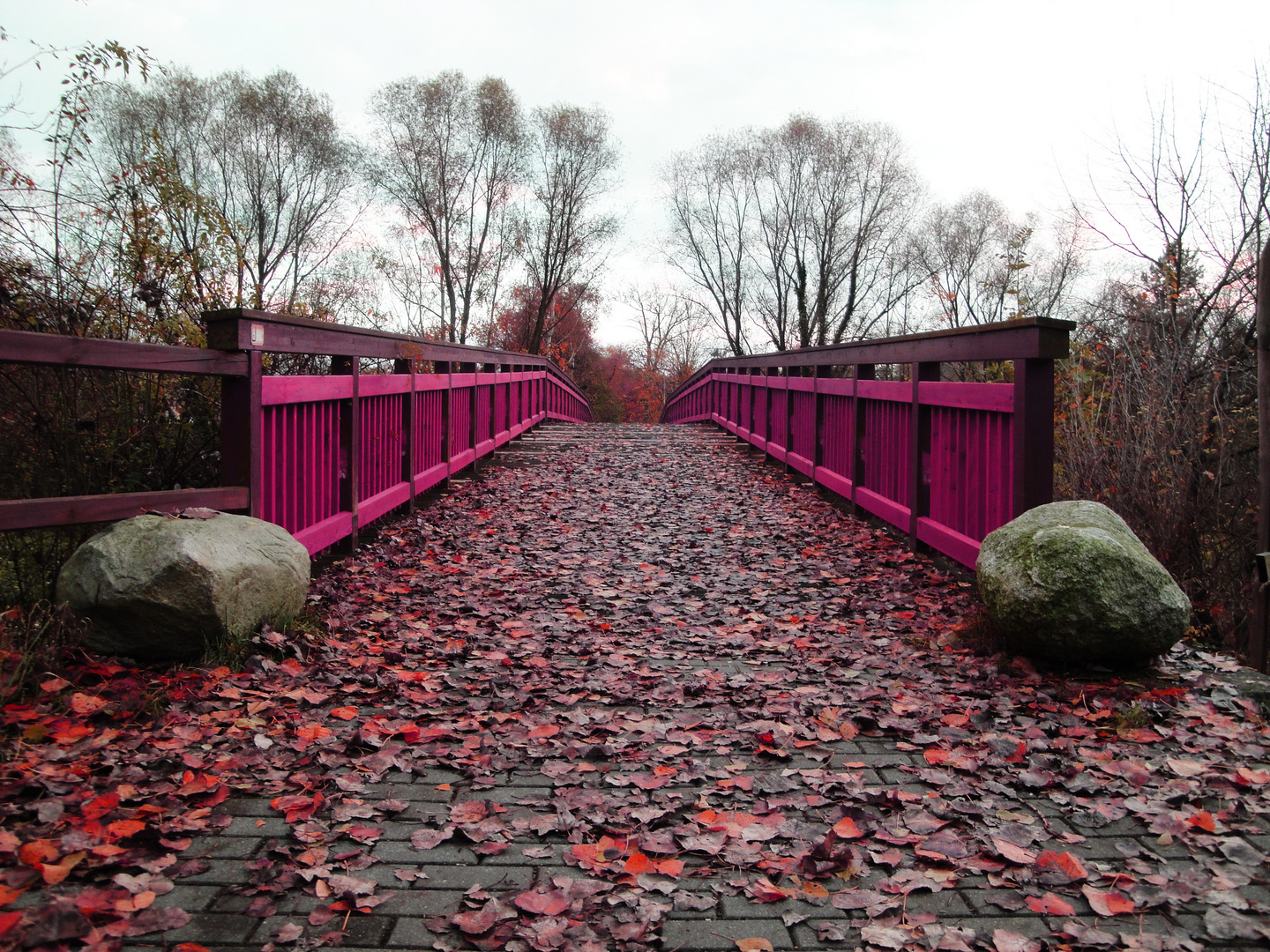 wonderful bridge