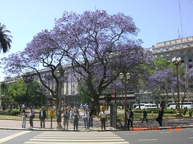 wonderful buenos aires