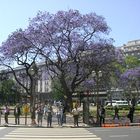 wonderful buenos aires