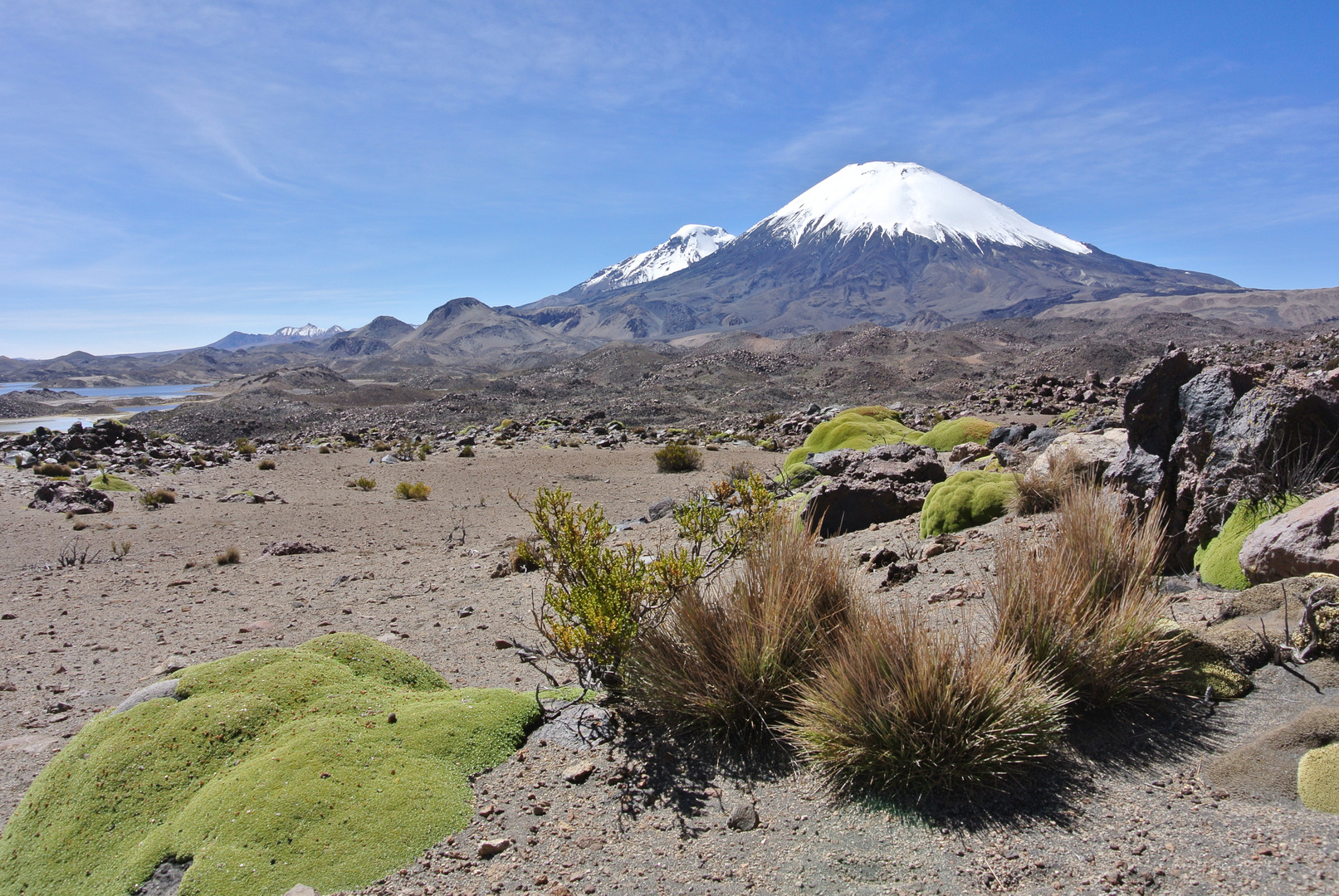 Wonderful Chile