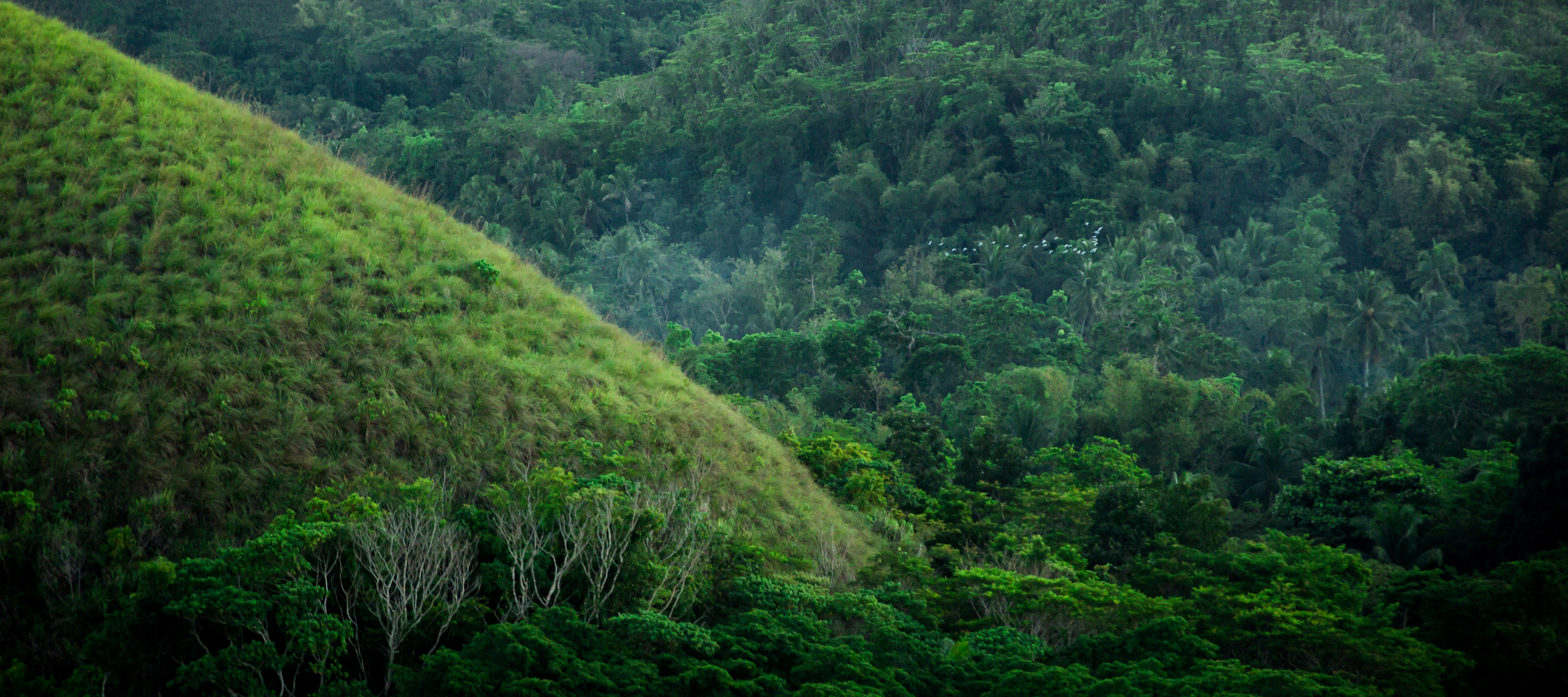 Wonderful Chocolate Hill