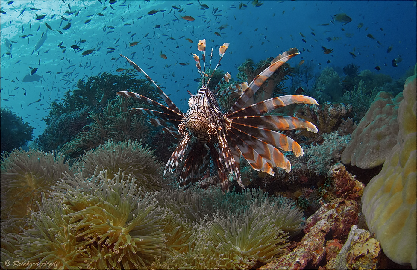 Wonderfully beautiful Raja Ampat