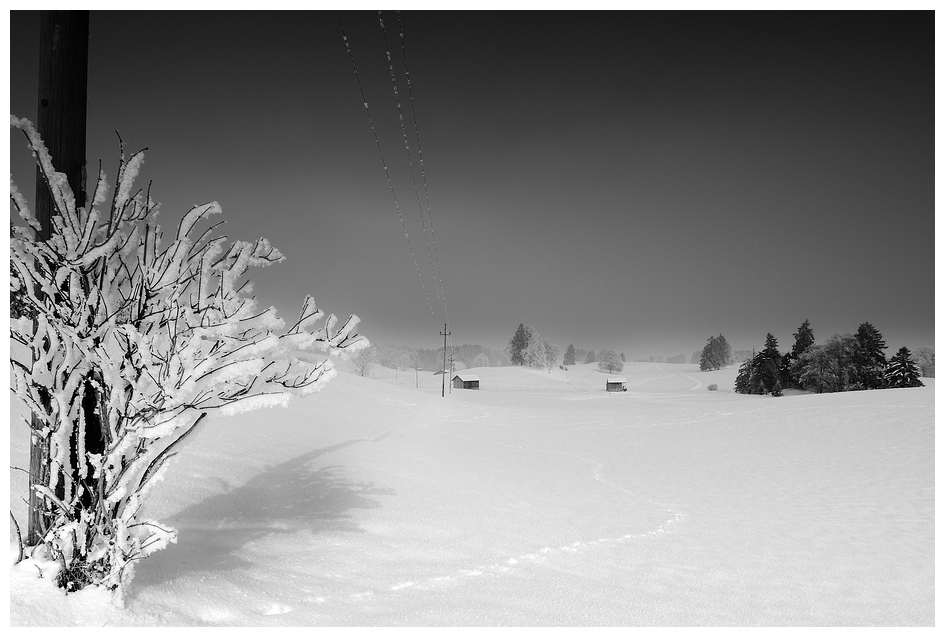 Wonderland Allgäu