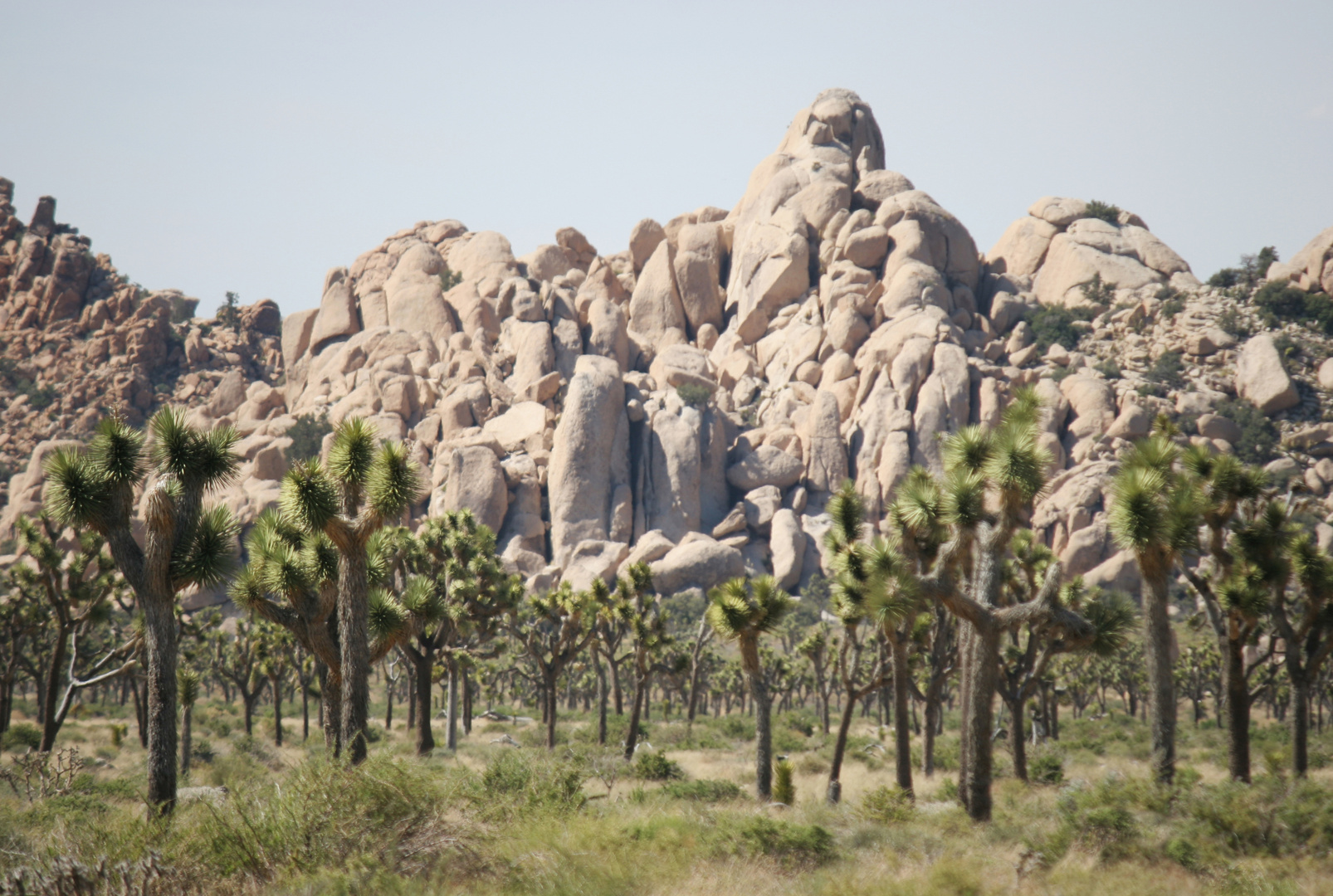 Wonderland of Rocks