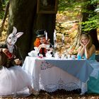 Wonderland - Teaparty