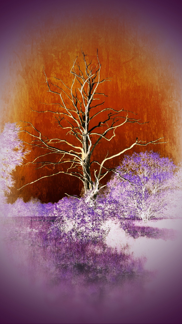 Wonderland Tree