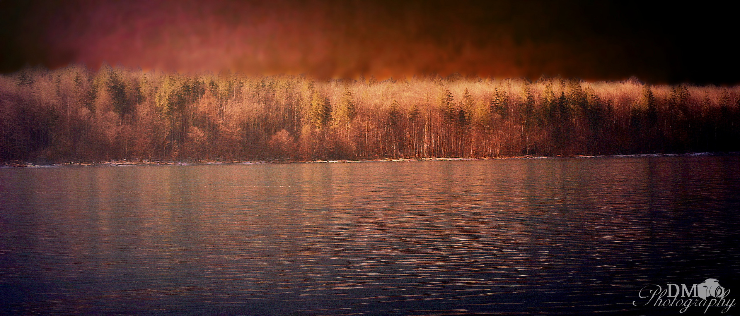 *Wonderland without snow*