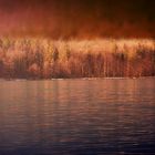 *Wonderland without snow*