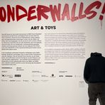 Wonderwalls