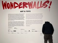 Wonderwalls