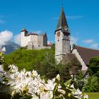 Wonnemonat in Liechtenstein