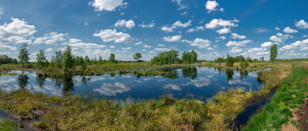 Wonnemonat Mai im Moor