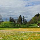 Wonnemonat Mai im Oberallgäu