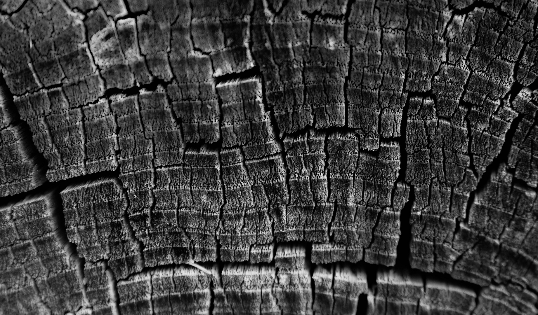 WOOD - 2 -