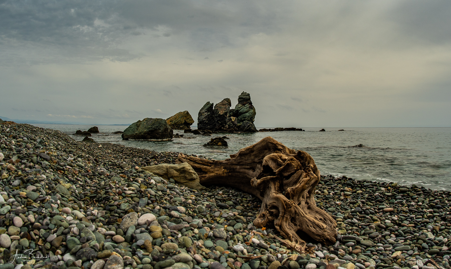 wood and sea