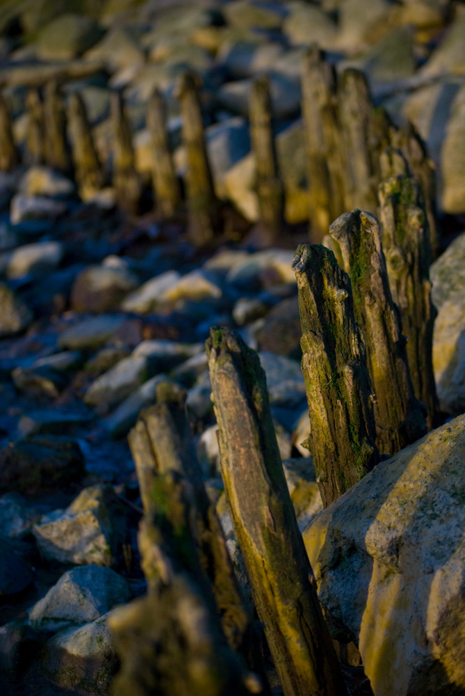 wood and stone