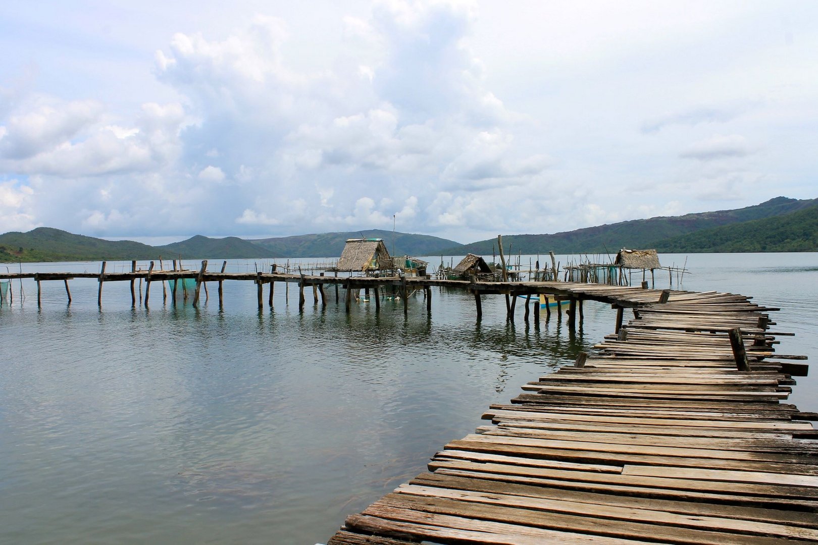 wood bridge