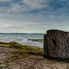 wood close to sea