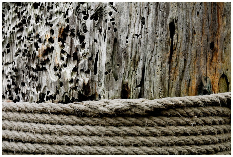 wood ´n rope