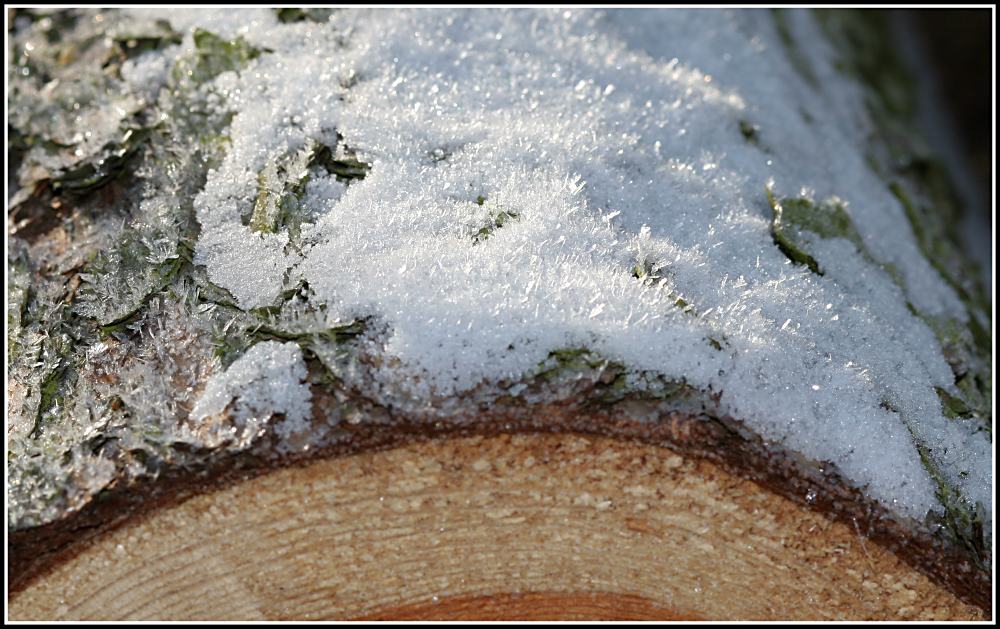 wood on ice - ice on wood