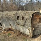 Wood Smilie