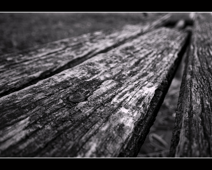 Wood Story(3)