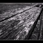 Wood Story(3)