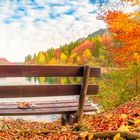 Wooden bench in an autumn landscape