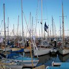 Wooden Boat Fesival in Hobart