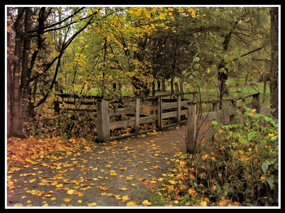 Wooden Bridge