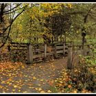 Wooden Bridge