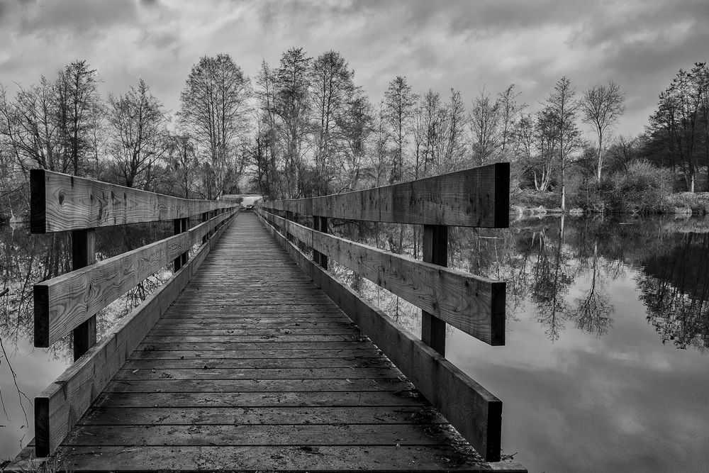 wooden bridge