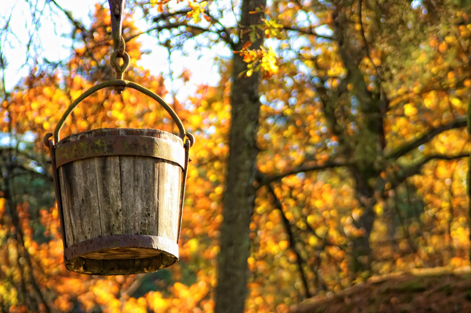 Wooden Bucket