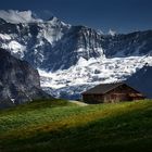 Wooden cabin