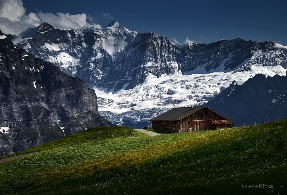 Wooden cabin