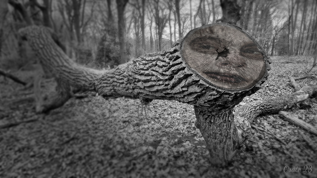 wooden face