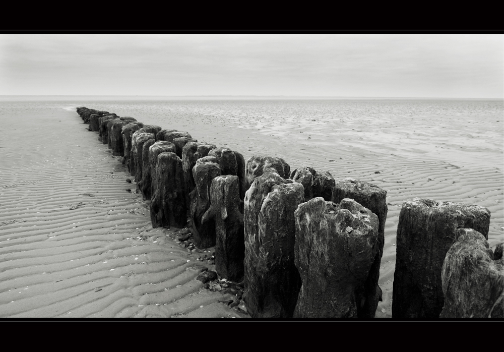 Wooden Faces