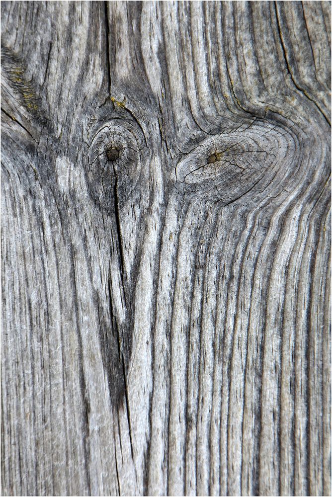 wooden faces