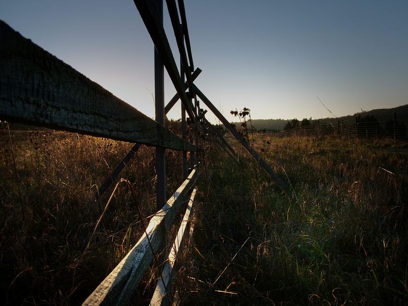 Wooden Fence