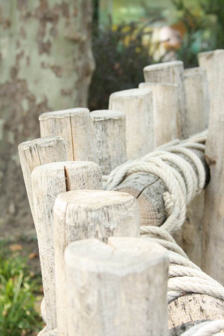 wooden fence