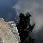 Wooden footbridge