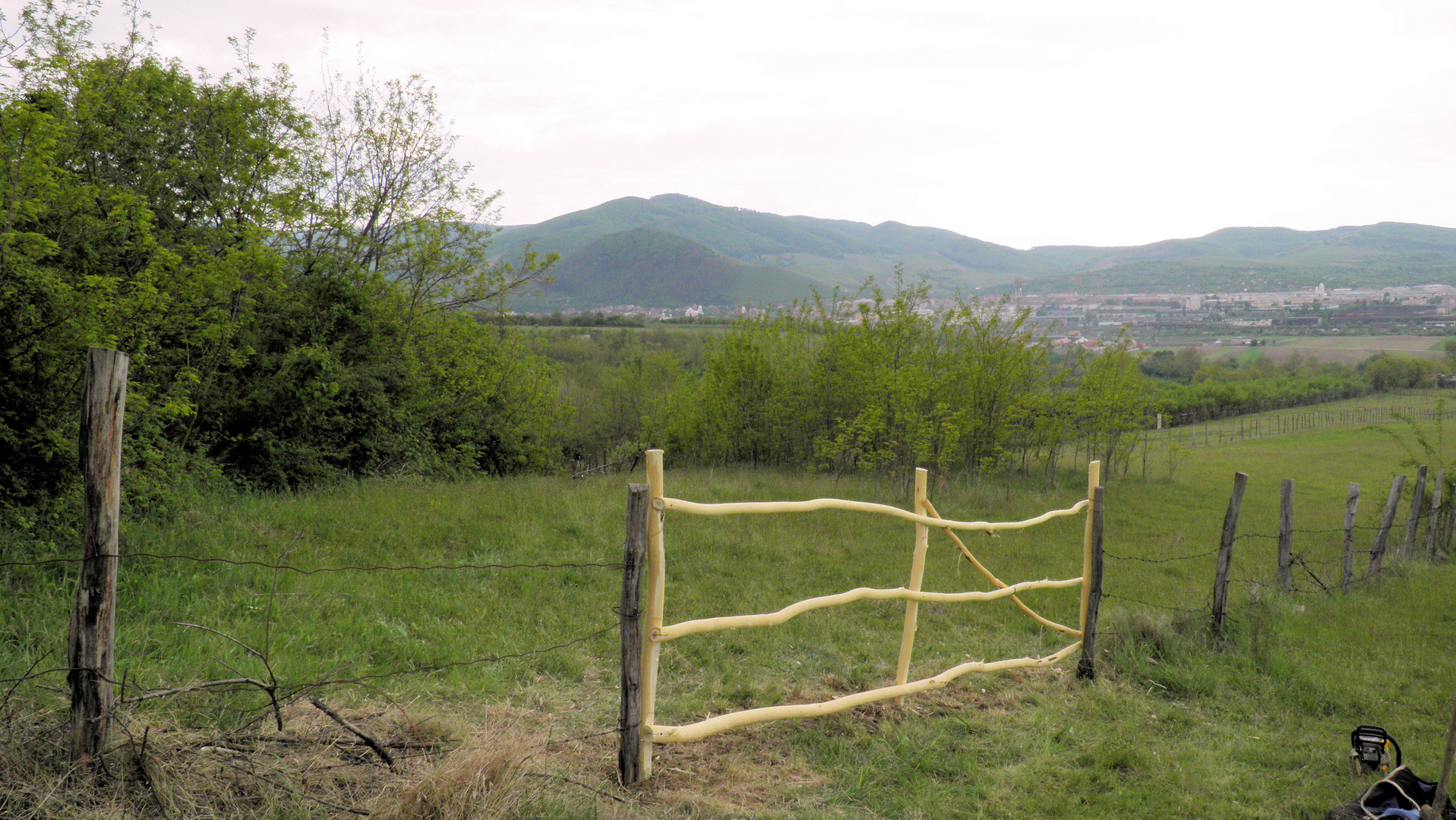 Wooden Gate