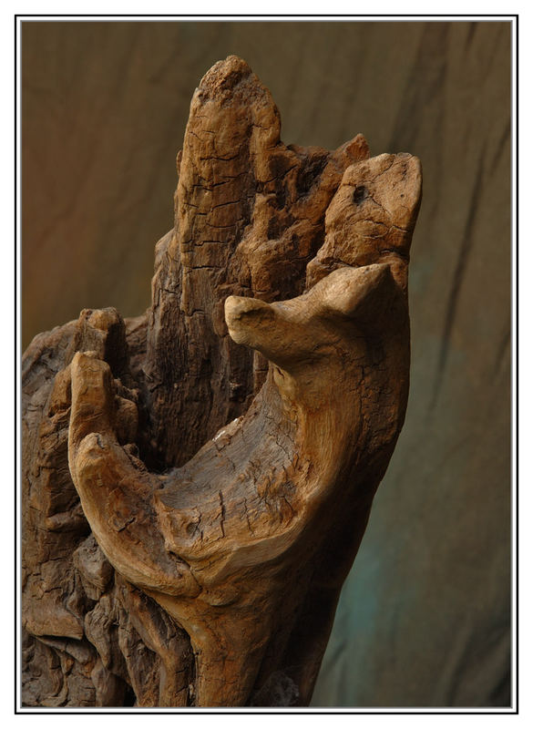 Wooden Hand